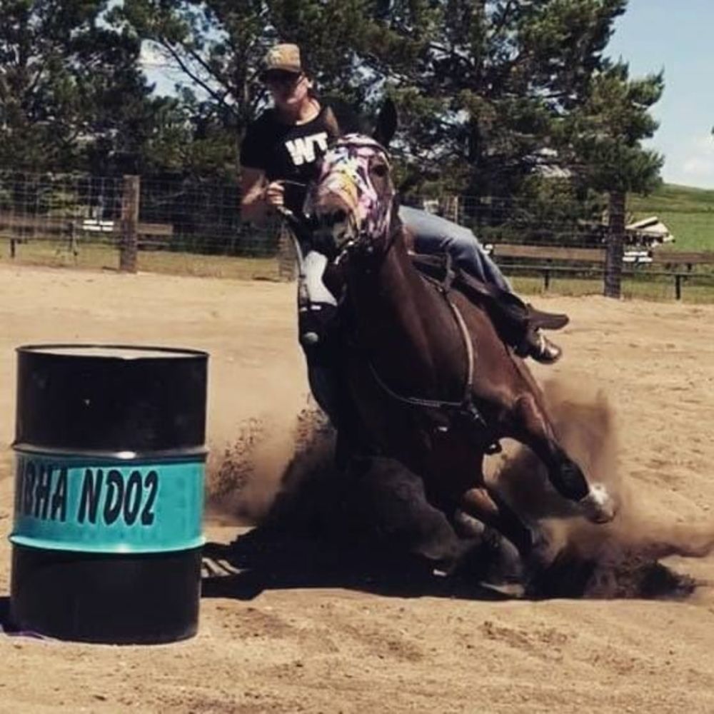 Meet your Posher, Sidney